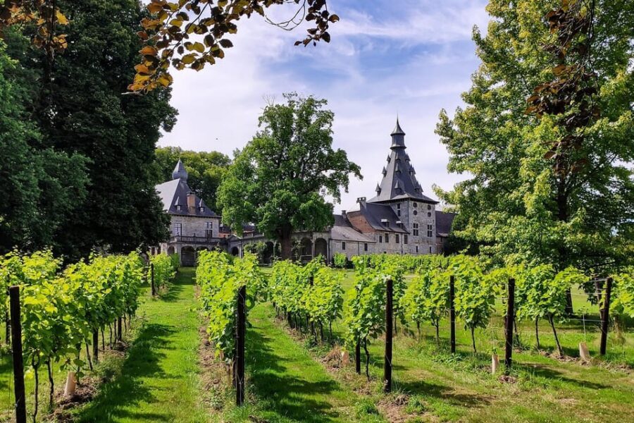 Bioul (near Dinant) : Château de Bioul Tour and Wine Tasting - Key things to know before you go