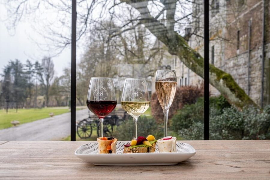 Bioul (near Dinant) : Château de Bioul Tour and Wine Tasting - From vineyards to winery: the grape-to-glass part actually matters