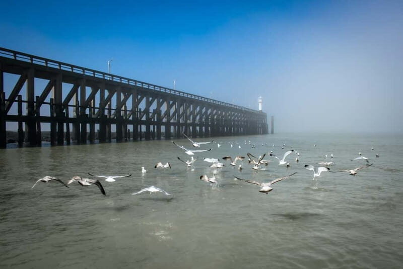 Blankenberge: Offshore Wind Farm Tour by Boat - North Sea shipping, buoys, currents, and tides—explained the useful way