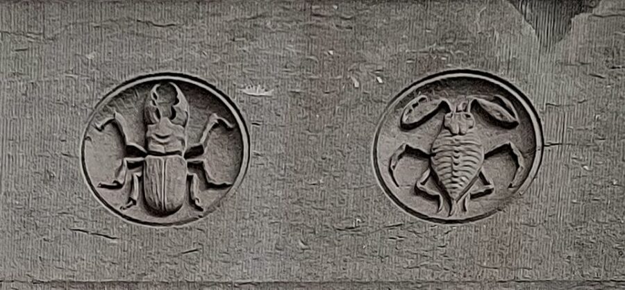 Brussels: Fall and Rise of Art-Nouveau Guided Tour - Walking the outskirts loop: pacing, distance, and how to dress