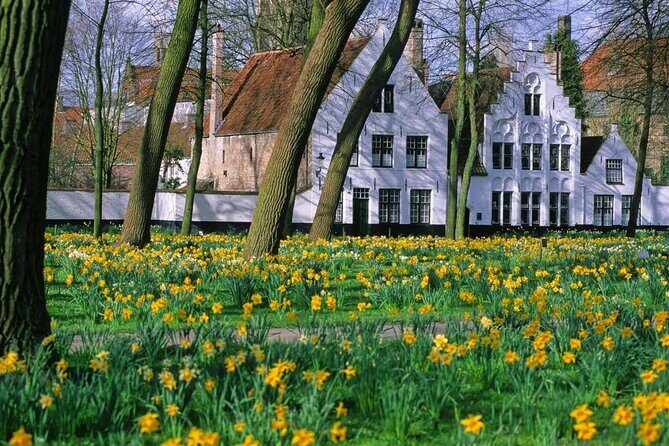 Brussels to Bruges: Private & Personalized Day Trip with a Local - Key Points I’d Plan Around
