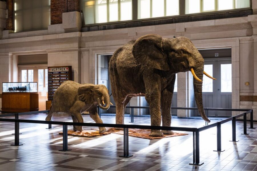 Brussels Train World Museum Entrance Ticket - Interactive touches and the safety-minded fun