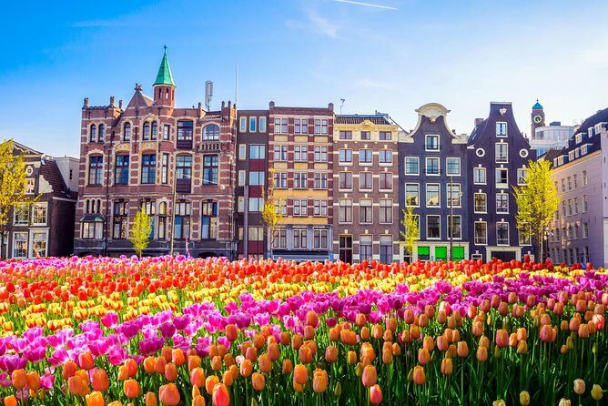 Excursion to Amsterdam by bus from Brussels - Guides and Spanish narration: why this trip feels more personal than a checklist