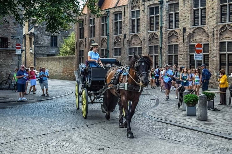 From Amsterdam: Private Sightseeing Tour to Bruges - Bruges on your own clock: canals, bridges, and the Begijnhof